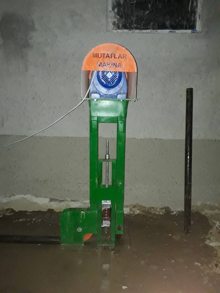 Ilgaz — Serdar Küsmez