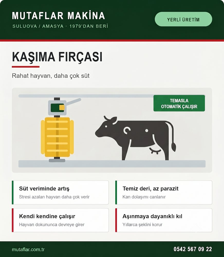 Kaşıma Fırçası tanıtım afişi