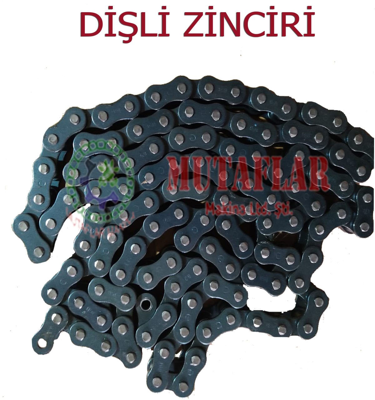 DISLI-ZINCIRI-2